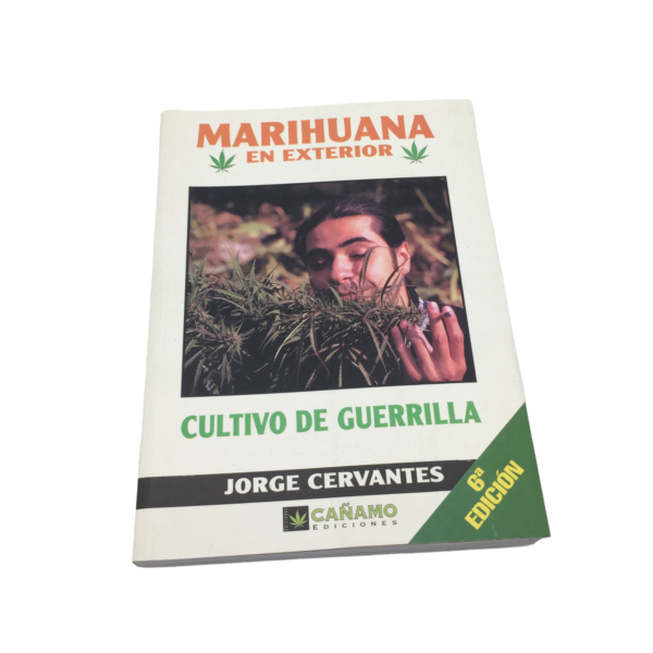 MARIHUANA EN EXTERIOR CULTIVO