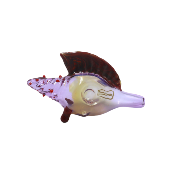PIPA CARACOL