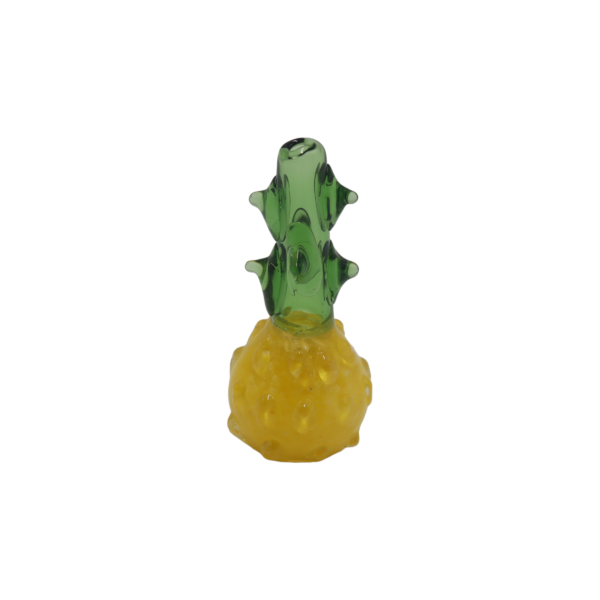 PIPA CACTUS